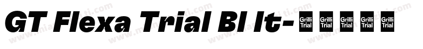 GT Flexa Trial Bl It字体转换